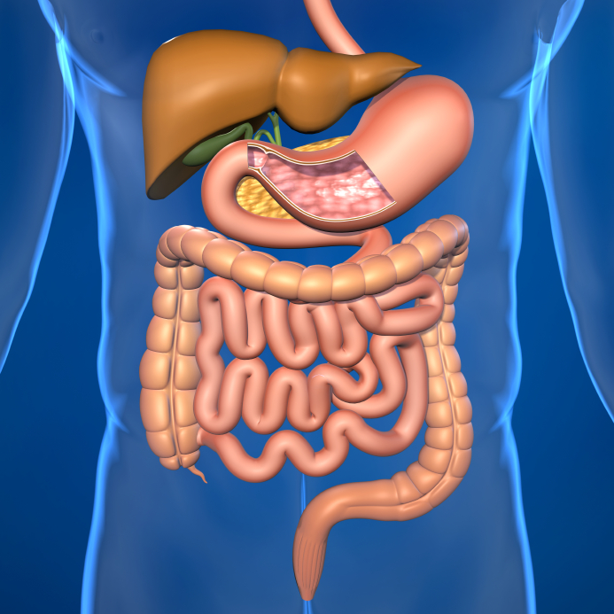 Minimal Access Bariatric & GI Surgery