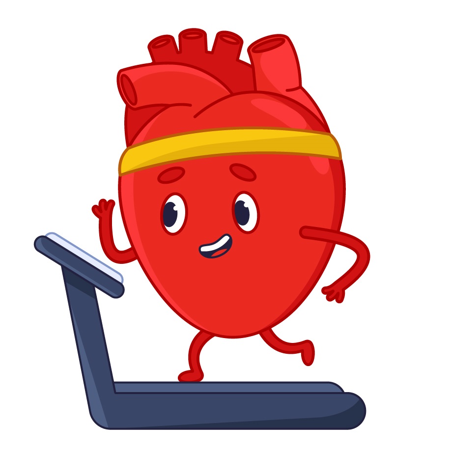 Cardiac Treadmill Test