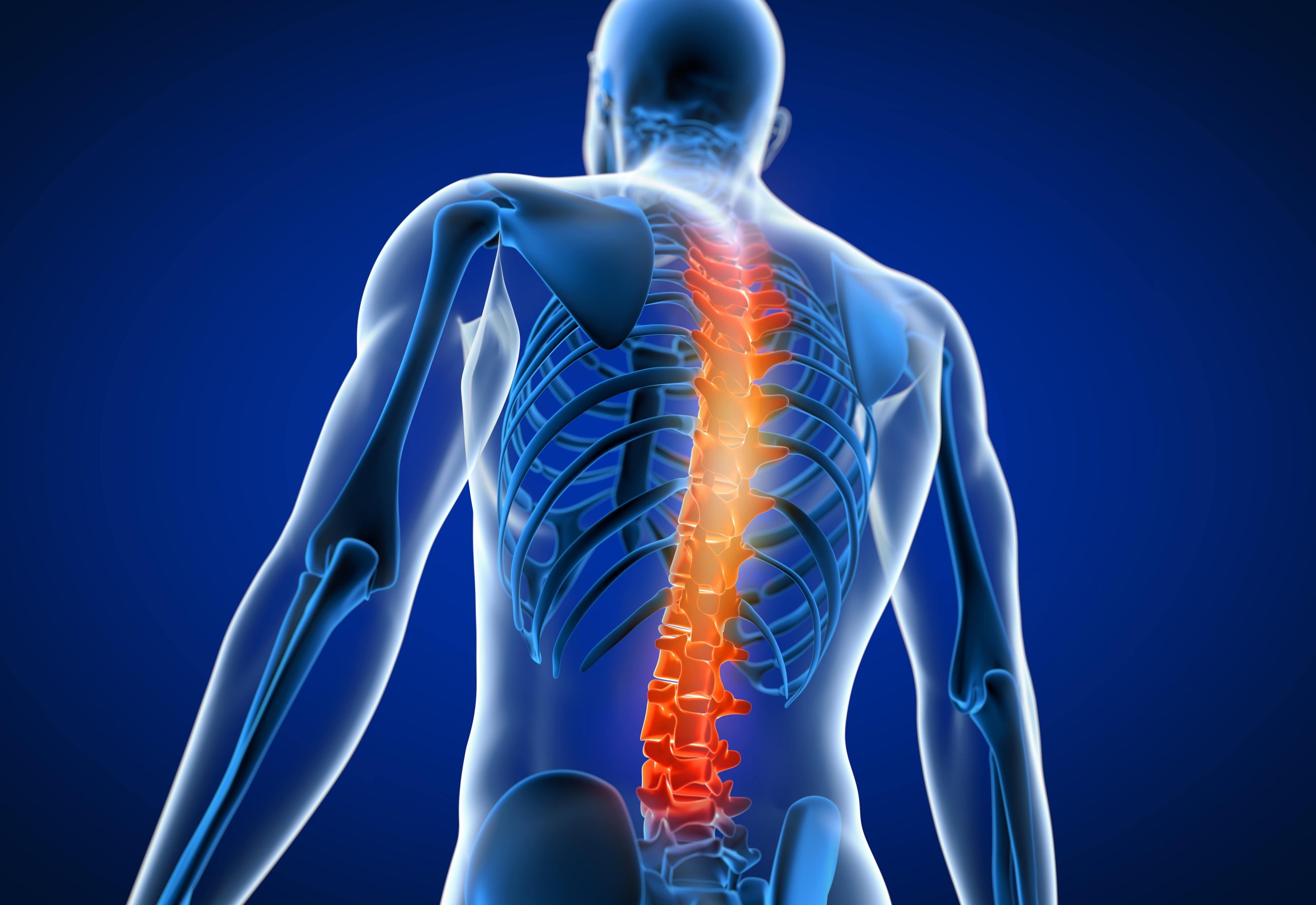 Spinal Injuries | Best orthopaedic hospital in Jaipur