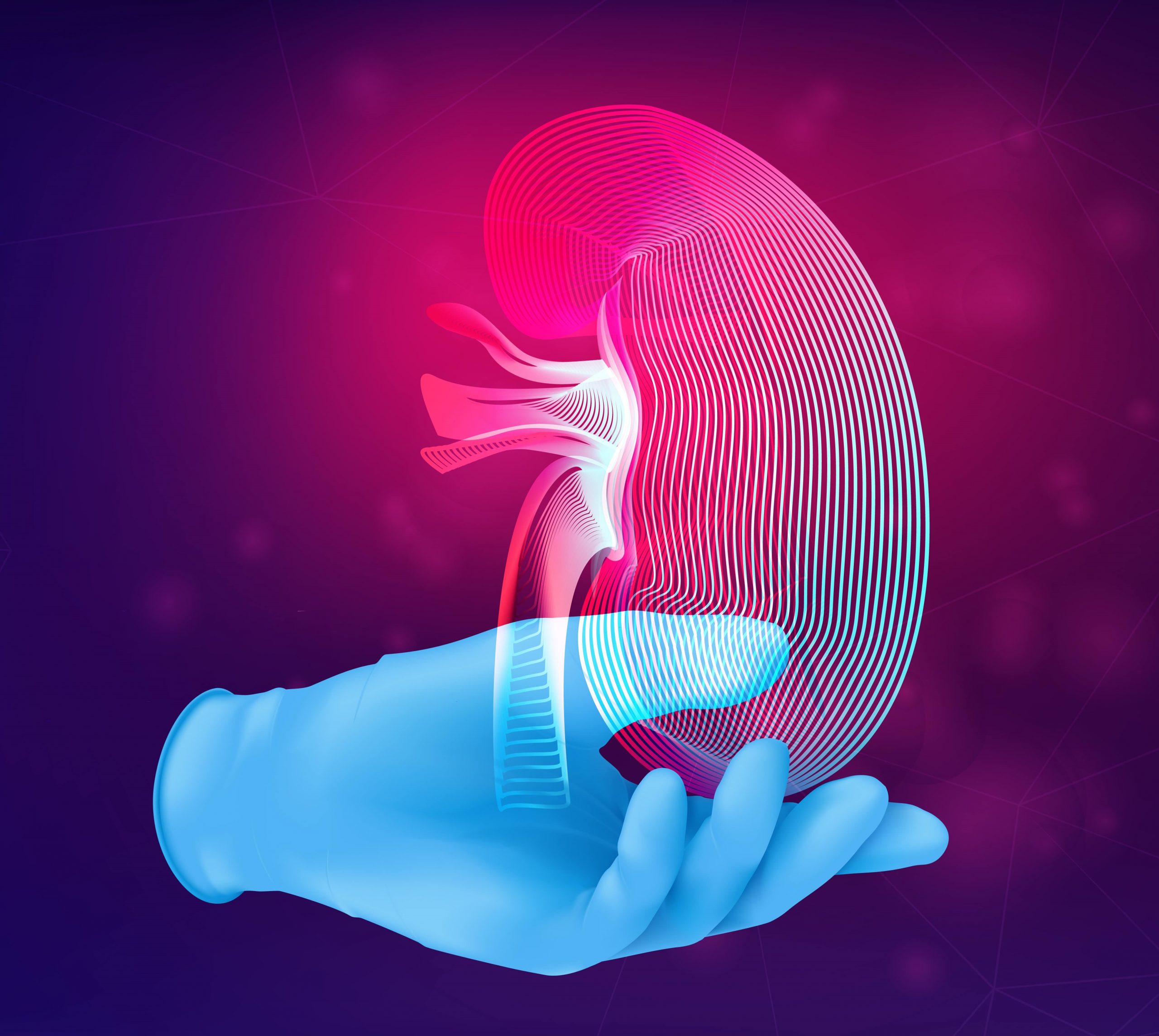 Kidney Cancer | urologist hospital in jaipur