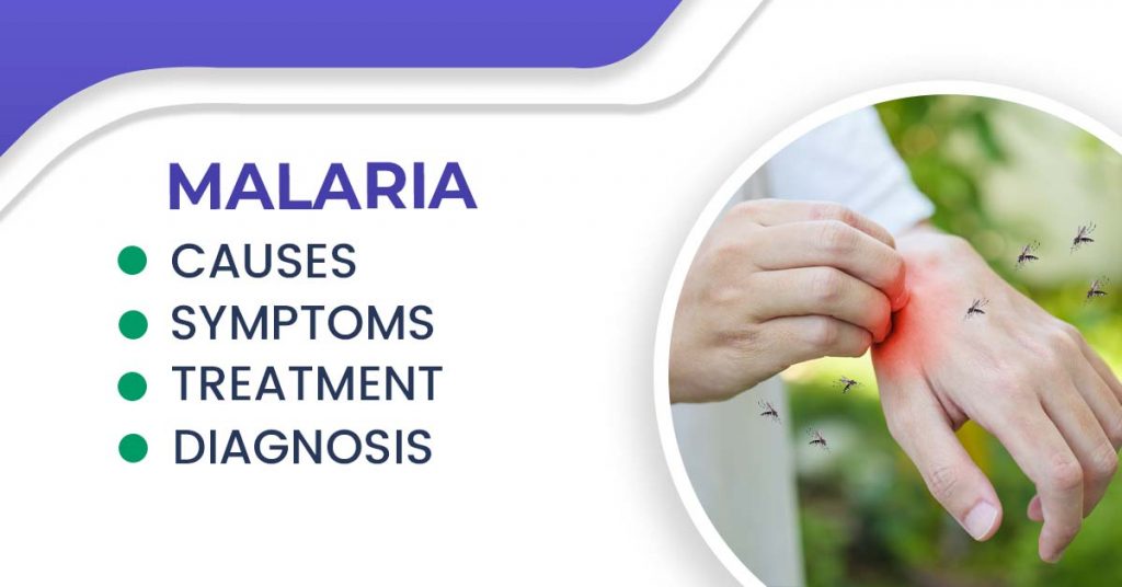 Malaria Causes, Symptoms, Diagnosis, and Treatment