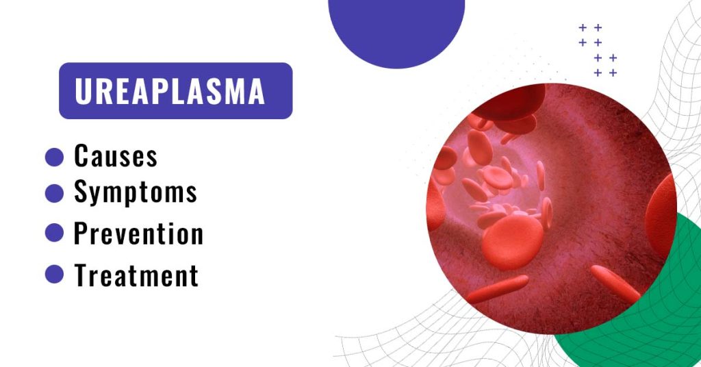 Ureaplasma Causes, Symptoms, Prevention, and Treatment