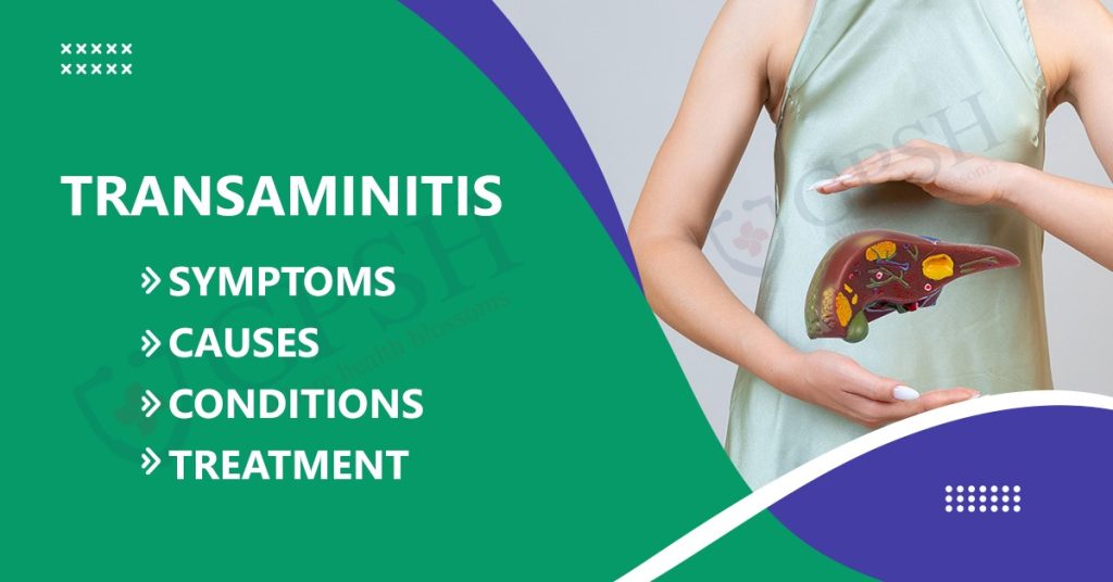 Transaminitis