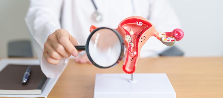 Reproductive Endocrinology