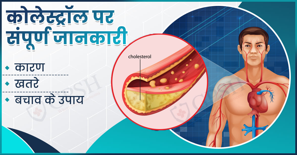 कोलेस्ट्रॉल पर संपूर्ण जानकारी